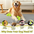 Swingers Squeaky Tennis Balls for Dog,2.5 inch Training Tennis Balls,Exercise Ball for Pet Dog with Mesh Carry Bag Easy to Transport (Multicolor, 24 Pack)
