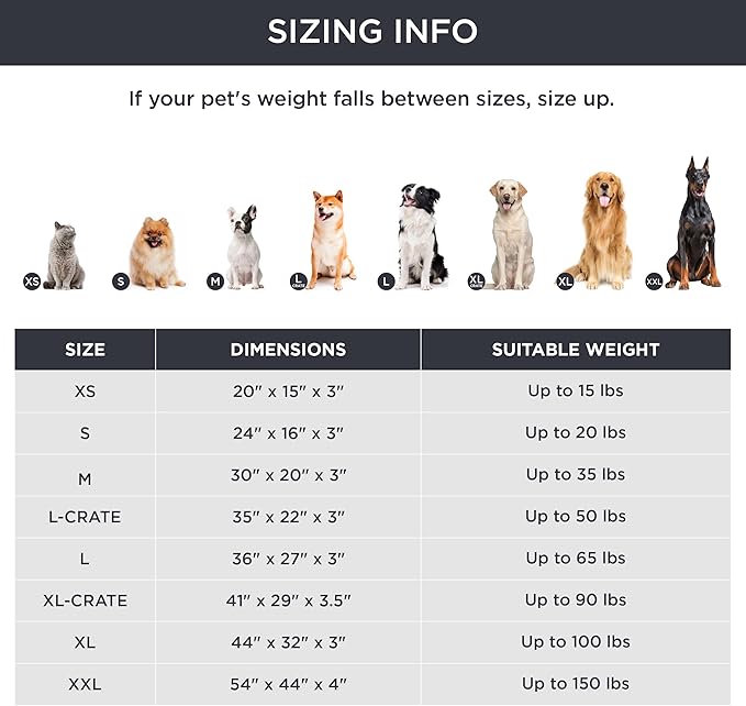 Bedsure Dog Bed for Small Dogs - Comfy Flat Puppy Beds with Removable Washable Cover, Orthopedic Egg Crate Foam Pet Mat, Suitable for Pet Up to 15 lbs