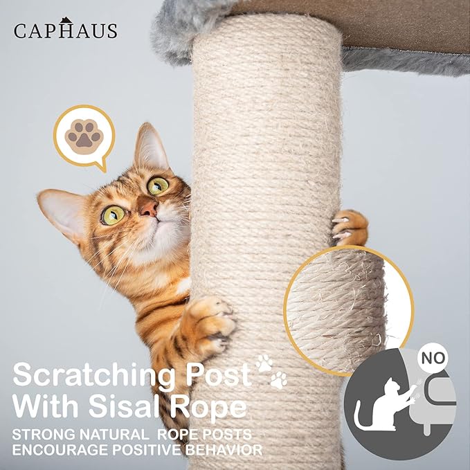 CAPHAUS Large Cat Tree with Scratching Posts, Cave Condo, 40-Inch Multi-Level Indoor Activity Structure with Basket for Cats, Modern Sisal Wrapped Design