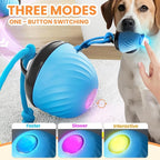 Interactive Dog Toys Ball, 2026 New Smart Pet Puppy Ball with Ropes, Random Path Electric Automatic Moving and Rolling Dogs Toy, for Small Medium Large Dogs Daily Training (Blue)