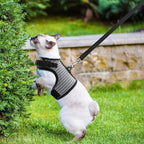 PUPTECK Soft Mesh Cat Vest Harness and Leash Set Puppy Padded Pet Harnesses Escape Proof for Cats Small Dogs Rabbits Bunny