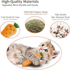 Catnip Cat Toys, Cat Nip Kitten Toy for Indoor Cats Kitty Kicker, Durable Kitten Teething Chew Toys, 5 Pack, Vegetable Shape