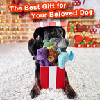 Act boldly 5 Pack Dog Squeak Toys, Durable Plush Chew Toys for Small, Medium & Large Dogs for Teething & Interactive Play