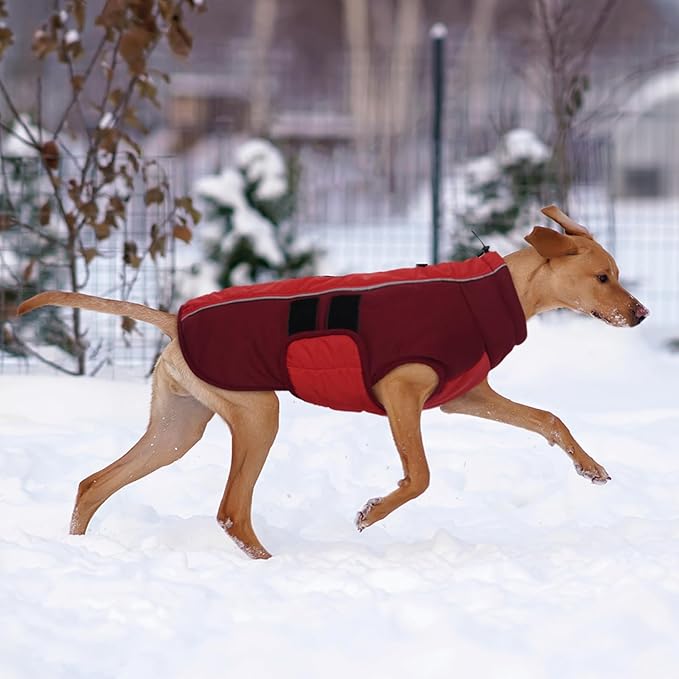 Kuoser Large Dog Coat, Winter Waterproof Dog Jackets for Large Dogs, Reflective Doggie Vest with Leash Hole, Cold Weather Coats Pet Snow Jacket for Labrador Beagle, Red XXL
