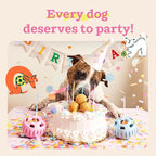 WOOF Pupsicle Birthday Pops - Healthy Dog Treats - Pre-Made Pupsicle Refills- Wholesome Ingredients - Naturally Sweet - Cake-Flavored Birthday Treat for Dogs - Small
