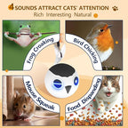 ORSDA Cat Ball Toys, Interactive Cat Toy for Indoor Bored Indoor Cats Kitten Toys, Automatic Electric Bird Moving Ball Toy, 4 Mode Voice & Touch Control Rolling Chirping Stimulating, 2 Feather Tails