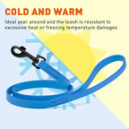 Dogline Biothane Waterproof 6ft Dog Leash Strong Coated Nylon Webbing with Black Hardware Odor-Proof Easy to Clean High Performance for Small or Large Dogs Made in USA 6ft Lead, Cerulean Blue