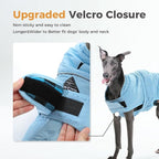 PAWZ Road Dog Winter Coat with 5 Layers Warm Material, Reversible Dog Clothes with 2 Sides, Dog Jacket Outdoor Water Repellent, (Blue Plaid M)
