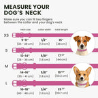 BRONZEDOG Rolled Leather Dog Collar for Small Medium Large Dogs with QR ID Tag (L: 16-18 Inch, Hot Pink)
