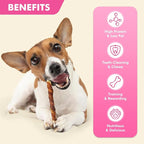 Dog Treats, 5 Inch Duck Wrapped Rawhide Sticks for Dogs, Teeth Cleaning Dog Chew Snacks for Puppy and Small Dogs, 14.1oz
