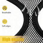 Dog Harness Small Sized and Leash Set, Dog Harness with Leash Set, Comfortable Air Mesh Dog Vest Harness with Reflective Strip, Reflective for Safe Easy Walking Dogs, Cats, Black M