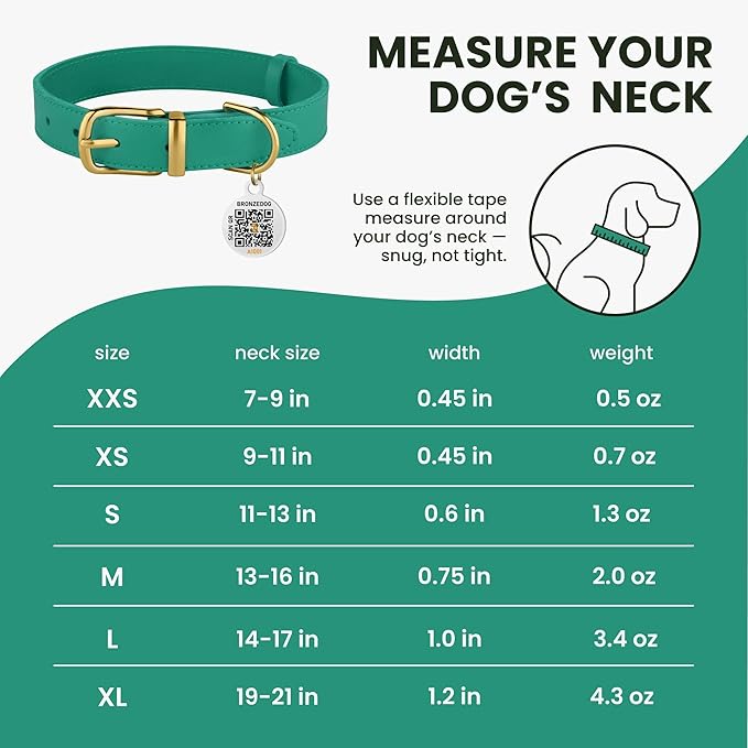 BRONZEDOG Leather Dog Collar with Metal Buckle Durable Basic Pet Collars for Small Medium Large Dogs (19-21 Inch (Pack of 1), Green & Gold Buckle)