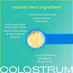 Native Pet Sockeye Salmon Oil (8 Oz.) & Colostrum for Dogs (120 Scoops) - Bovine Colostrum Powder – Allergy Relief, Immune Support & Itchy Skin Treatment & Pure Omega 3 Fish Oil