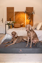 NOAH & PAW Giant Dog Bed XXL 55x45x9.5 Inch, Orthopedic Dog Beds, Eggshell Memory Foam Infused with Cooling Gel, Waterproof, Machine Washable, Includes Inner Cover (Faux Leather)