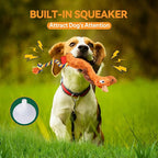 AUSCAT Plush Dog Rope Toy, Durable Squeaky Dog Toys for Puppy Small Medium Dogs (Not for Aggressive Chewers), Giraffe