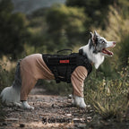 OneTigris Dog Pajamas - Breathable Modal Stretch Dog Clothes, Four-Legged Cold Weather Clothes, Anti-Shedding Suit Onesie with Back Locking Zipper and Adjustable Chest Drawcord