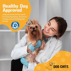 Dog Chits Lamb Ears for Dogs – 100% Natural Baked Lamb Ear Dog Treats – Grain-Free, High Protein, Lower Fat Training Chews – Dental Health & Joint Support – for Large, Medium Dogs – 25 Pack