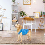 EXPAWLORER Dog Hoodie Fleece Sweater Vest, Hooded Dog Sweatshirt Fall Winter Pet Clothes with Leash Ring, Sleeveless Warm Cozy Puppy Clothing for Cat Small Medium Large Dogs Girl Boy, Blue M