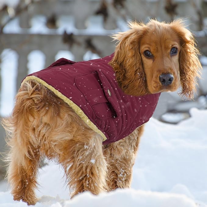 Queenmore Dog Winter Coat Warm Puffer Jacket Waterproof Plush Lining Thermal Cold Weather Vest for Small Medium Large Dogs, Windproof Easy On Pet Jacket Burgundy XL