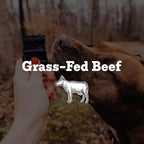 Farm Hounds - Beef Trainers - Premium Natural Beef Jerky for Dogs - Made from 100% Humanely Raised Cattle - Easy-Break - Great for Training & Treats - No Added Fillers - Made in USA - 4.5 oz - 2 Pack