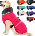 QBLEEV Warm Dog Coat Reflective Dog Jacket, Waterproof Dog Winter Coat Turtleneck Dog Clothes for Cold Weather, Thick Fleece Dog Snowsuit Christmas Dog Vest Pet Apparel for Small Medium Large Dogs S