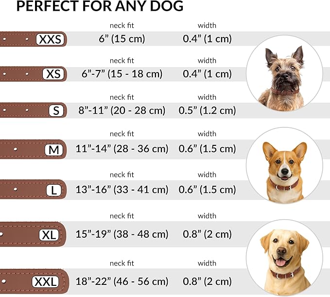 CollarDirect Rolled Leather Dog Collar, Soft Padded Round Puppy Collar, Handmade Genuine Leather Collar Dog Small Large Cat Collars 13 Colors (11-14 Inch, Cinnamon Smooth)