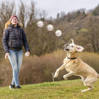 Dog Balls for Aggressive Chewers, Indestructible Bouncy Floating Balls for Training Dog Catch and Fetch, Sturdy Solid Tennis Ball Toys for Large Medium Small Dogs - 2.75in - White - 2pcs