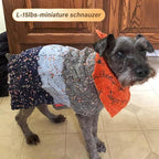 KYEESE Dog Sweater Color Block with Fuzzy Thread Knitted Turtleneck Dog Knitwear with dots in a Variety of Colors for Small Dogs Fall Winter Dogs Clothes, Navyblue, L
