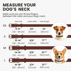 BRONZEDOG Rolled Leather Dog Collar for Small Medium Large Dogs with QR ID Tag (XS: 9-11 Inch, Chocolate Brown)