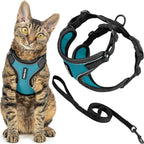 Voyager Escape Proof Cat Harness and Leash Set with Reflective Stitching, Neoprene Handle 5ft - Supports Small, Medium and Large Cats, Kittens for Walking by Best Pet Supplies - BT-Turquoise, XXS