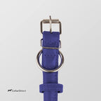 CollarDirect Rolled Leather Dog Collar, Soft Padded Round Puppy Collar, Handmade Genuine Leather Collar Dog Small Large Cat Collars 13 Colors (11-14 Inch, Purple Textured)