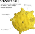 Playology Dog Toys | Puppy Toy Plush Sensory Ball for Dogs and Puppies for Dogs and Puppies | Jumbo Chicken Scented Toy - Easy to Clean and Made from Non Toxic Materials