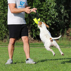 Bungee Dog Bite Tug Toy with 2 Strong Handles - Made of Durable & Tear-Resistant Fire Hose - Perfect for Tug of War, Fetch & Puppy K9 Training - Ideal Pull Toy for Medium to Large Dogs, Yellow