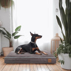 Laifug Orthopedic Memory Foam Pet(40"x 25"x 4",Slate Grey)/Dog Bed with Durable Waterproof Liner and Removable Washable Cover