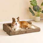 EHEYCIGA Memory Foam Dog Bed Medium Sized Dogs, Waterproof Dog Bed Orthopedic with Washable Removable Cover, Non-Slip Pet Bed Couch for Crate, 30x20x6 Inches, Camel