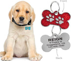 Personalized Dog Cute Paw Pet ID Tag for Pet Collar or Key Chain - cat Name tag, Personalized cat id tag, Kitten Name tag, Kitten id tag (Bone-Shaped-Small: Ocean Blue)