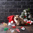 6pcs Christmas Catnip Toy，Indoor Santa Claus Snowman Tree Shaped Cat Toy Plush Interactive Chew Bite Toys for Cat Kitten Indoor Festive Holiday Cat Lover Gift