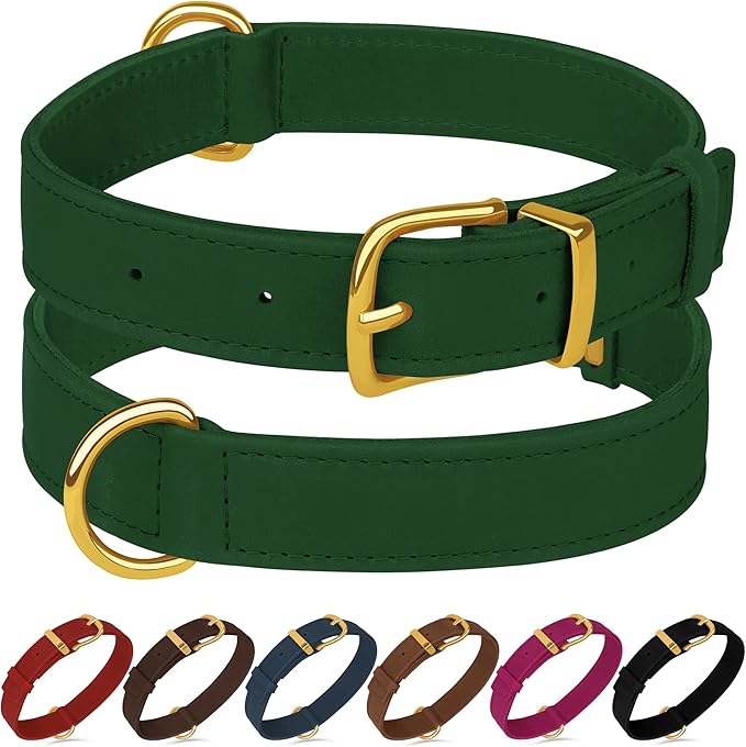 Leather Dog Collar - Heavy Duty Adjustable Soft Padded Pet Collars for Small Medium Large Dogs Breed - Black Green Brown Pink Red Blue (Green, XL, 19"-24" Neck Fit)