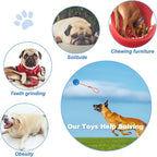 2 Pack Dog Ball, K9 Ball on Rope for Reward, Fetch, Play (Blue and Red)