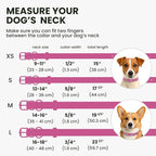 BRONZEDOG Rolled Leather Dog Collar for Small Medium Large Dogs with QR ID Tag (XS: 9-11 Inch, Hot Pink)