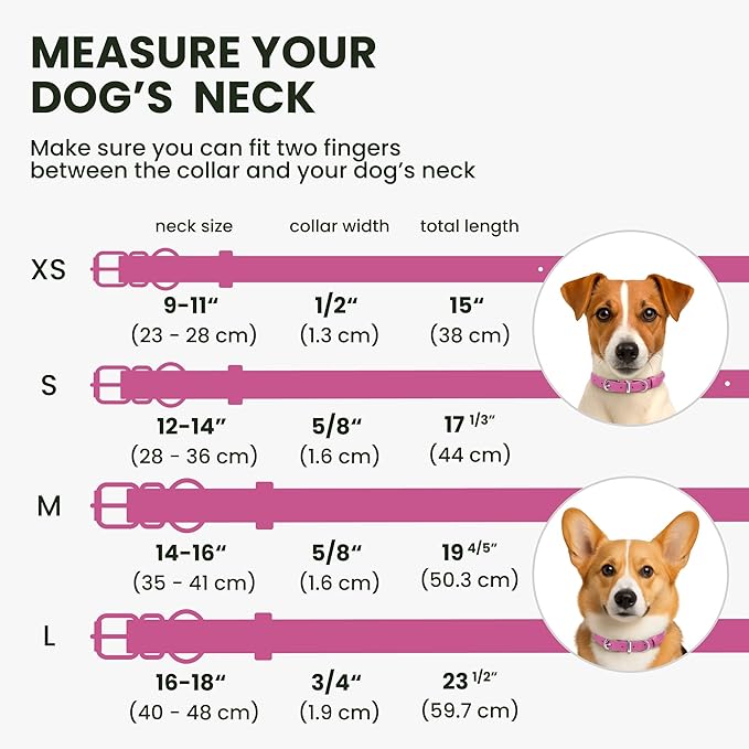 BRONZEDOG Rolled Leather Dog Collar for Small Medium Large Dogs with QR ID Tag (XS: 9-11 Inch, Hot Pink)