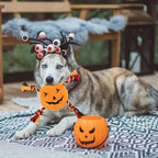 PUPTECK Halloween Dog Squeaky Chew Toys - 3 PCS Funny Pumpkin Plush Stuffed Toys for Puppy Pet Tugging Playing