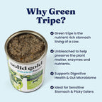 Solid Gold Beef Tripe Wet Dog Food Mix in for Adult & Senior Dogs - Helps Boost Appetite for Picky Eaters & Sensitive Stomachs - Canned Dog Food Additive for Healthy Digestion - 6 Pack/13.2oz Cans