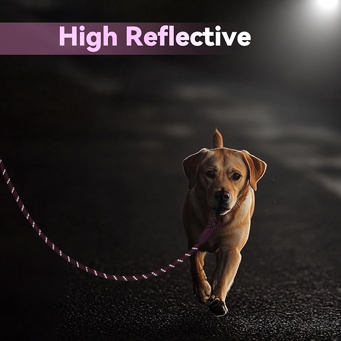 Nylon Dog Leash 6FT 10FT 20FT 30FT Diameter 2/5 Inch with Comfortable Silicone Handle Highly Reflective No Tangle for Medium Large Dogs Outside Walking Camping Backyard. (Pink, 20FT)