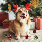 X-Small Dog Tennis Balls Dog Toys Ball 1.5" Pack of 12, Fit Ball Launchers,Christmas Dog Toys,Christmas Dog Gifts