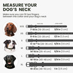 BronzeDog Rolled Leather Dog Collar with QR ID Tag, Adjustable Soft Round Collars for Small Medium Large Dogs Puppy (9" - 11" Neck Size, Black Night)