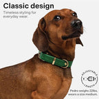 Classic Genuine Leather Dog Collar | Dog Collars for Medium Dogs, Small Dogs, Large Dogs & Extra Large Dog | Wide Dog Collar | Heavy Duty Collar (Green, XX Large)