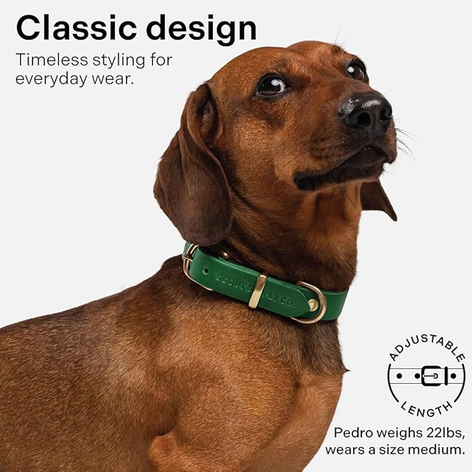 Classic Genuine Leather Dog Collar | Dog Collars for Medium Dogs, Small Dogs, Large Dogs & Extra Large Dog | Wide Dog Collar | Heavy Duty Collar (Green, Large)