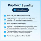 PupFlex+ Hip and Joint Supplement Dogs, Vet Created Soft Chews with UC-II® Collagen for Dogs, CurcuVET® & Omega 3, Proven More Effective Than Glucosamine Chondroitin, Dog Joint Supplement (60 ct)