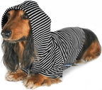 DJANGO Dog Hoodie – Warm, Lightweight, Soft & Stretchy Dog Sweater with Hood, Harness Hole & Elastic Waistband – Cozy Sweatshirt for Small Dogs up to 25 lbs, Dachshunds & Puppies – Black, Medium